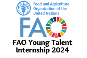 FAO Young Talent Internship