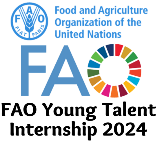 FAO Young Talent Internship